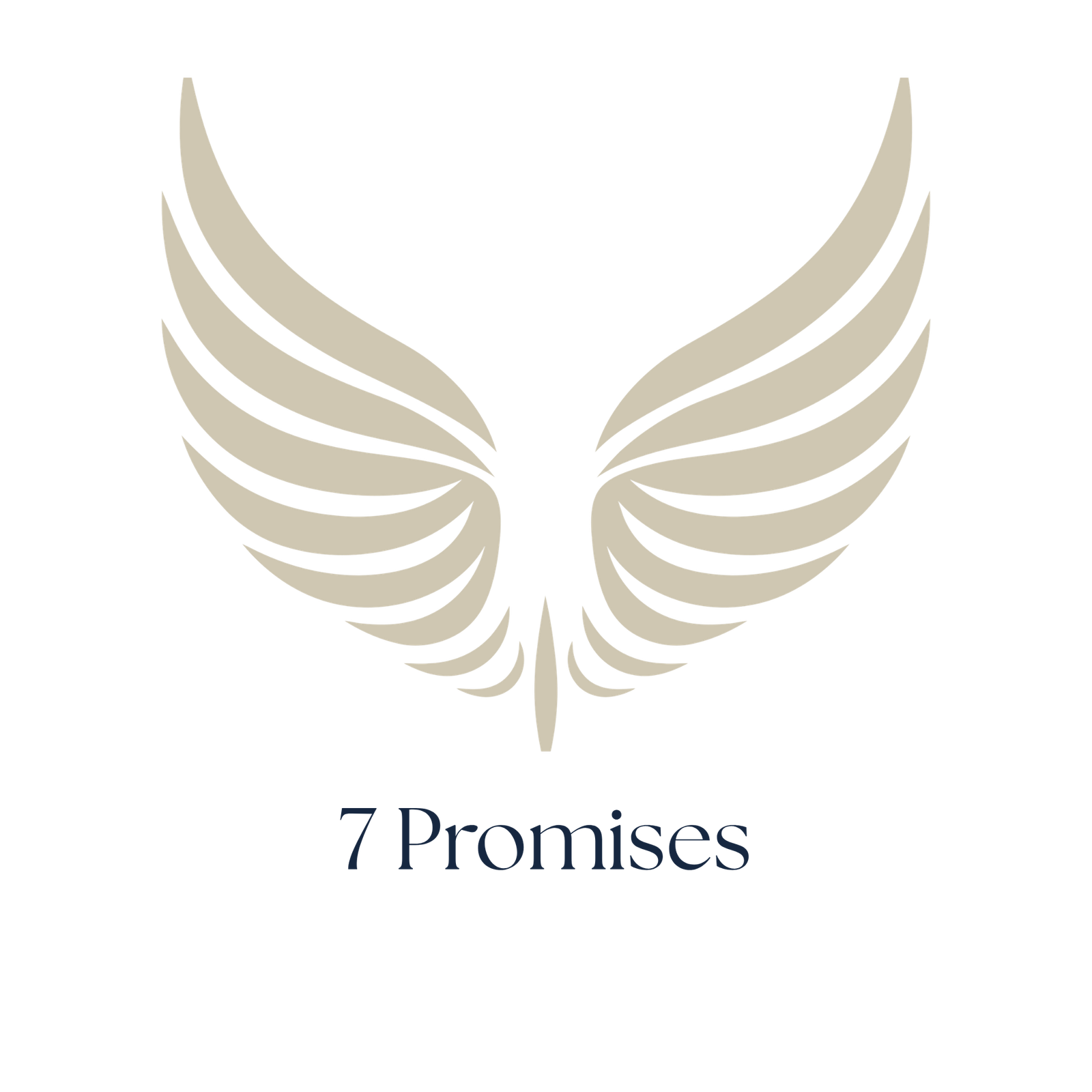 7 promises